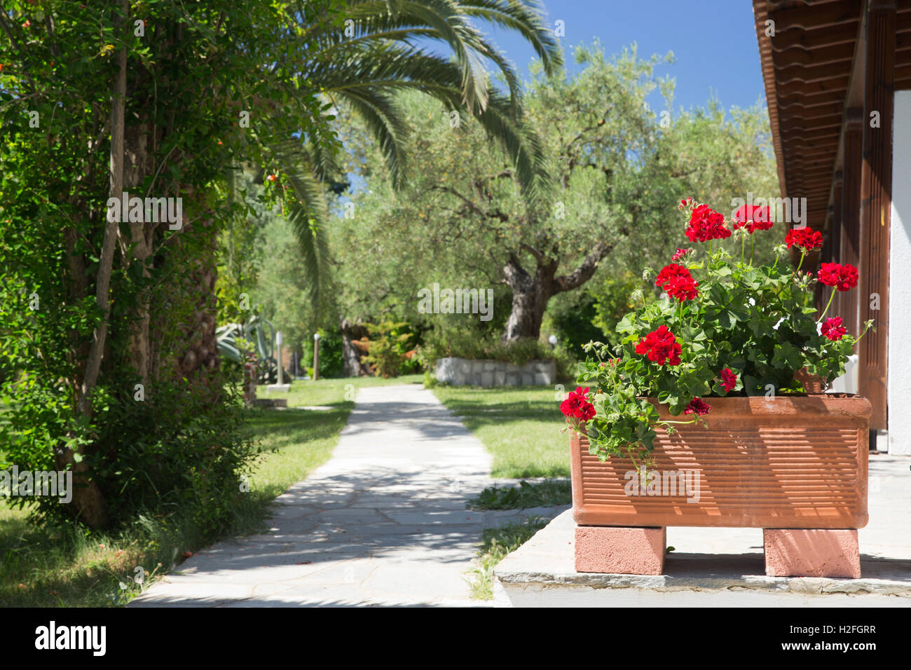 Vintage garden backyard hi-res stock photography and images - Alamy