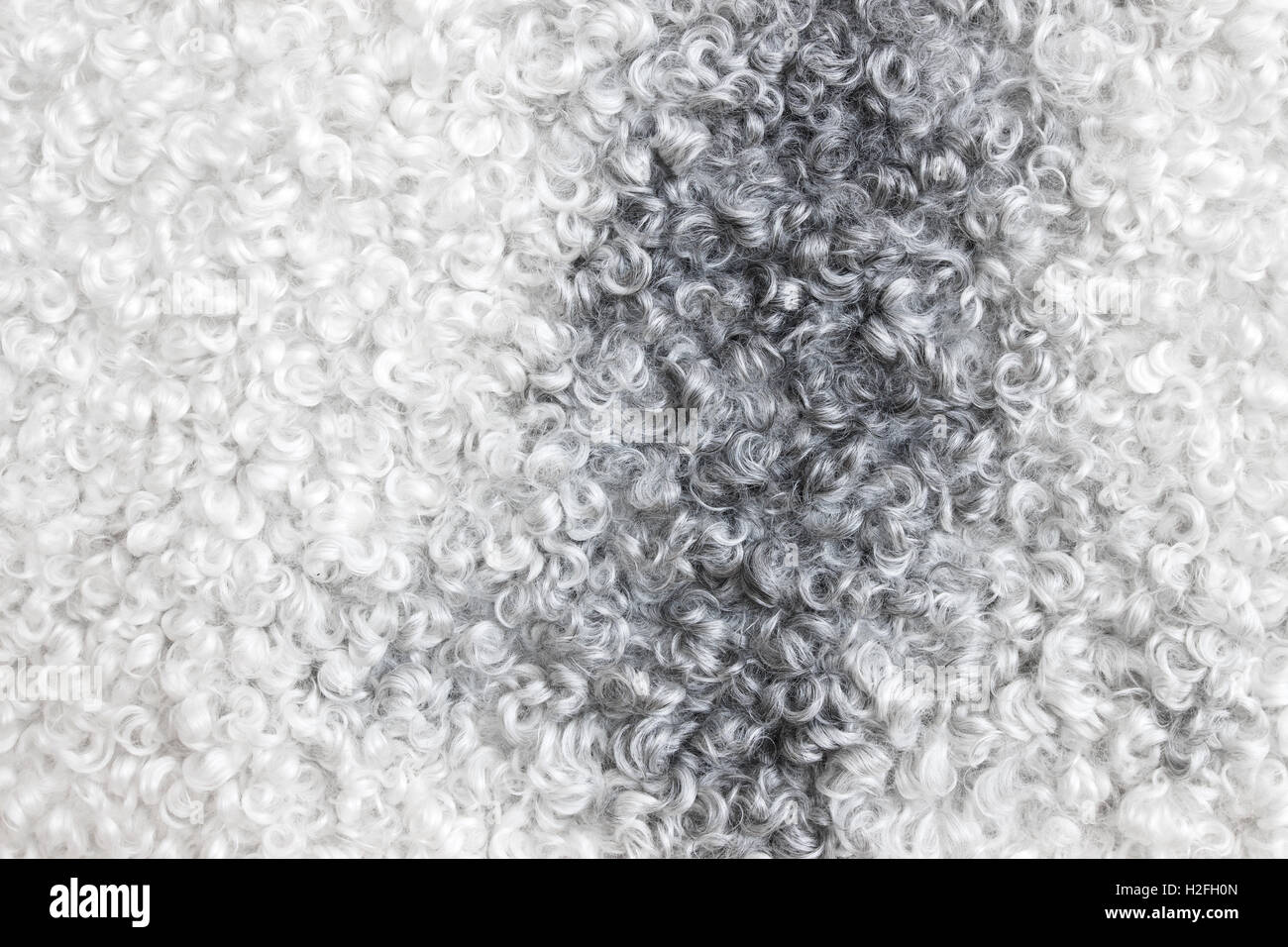 White and gray sheepskin background Stock Photo - Alamy
