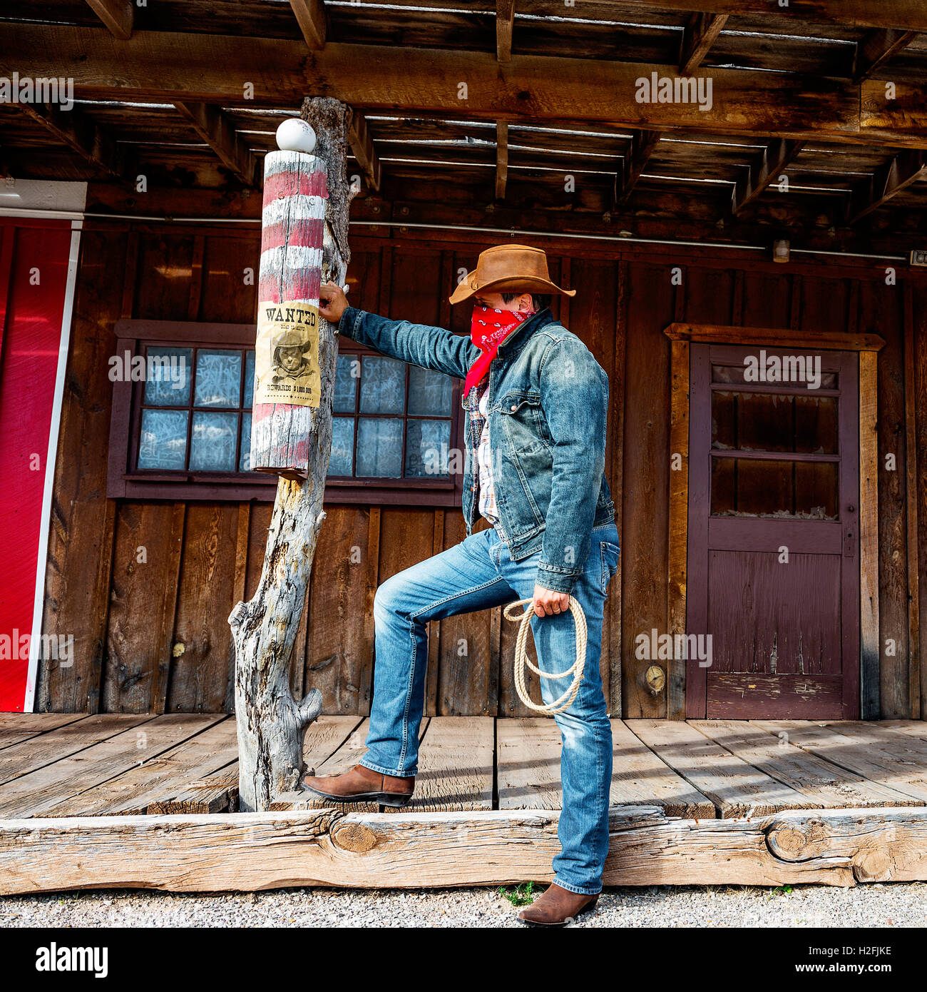 cow boy spirit Stock Photo