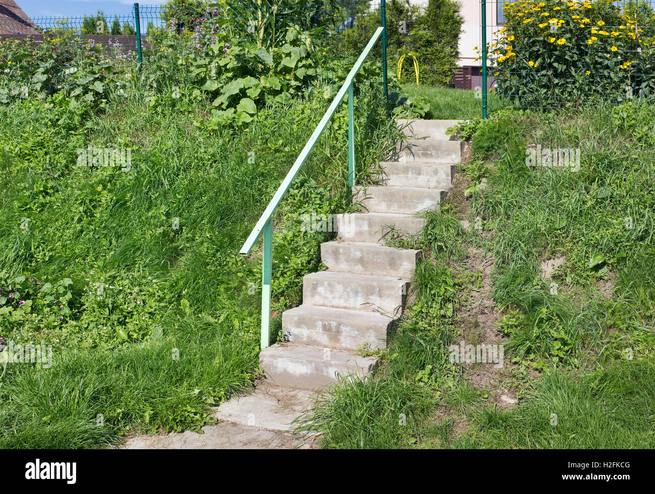 Rural ladder on the summer grass hill simple landscape Stock Photo Alamy