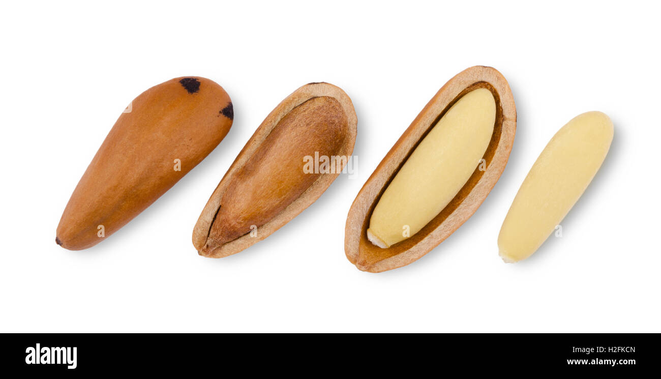 Stone pine seeds, nutshells and shelled nuts over white background. Pinophyta seeds in a row. Close up macro food photo. Stock Photo