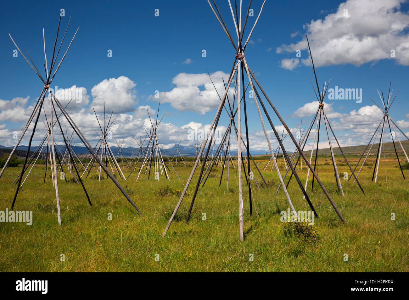 MONTANA - Ghost tepees, poles standing to mark the location of where the Nez Perce were sleeping the night of the slaughter. Stock Photo