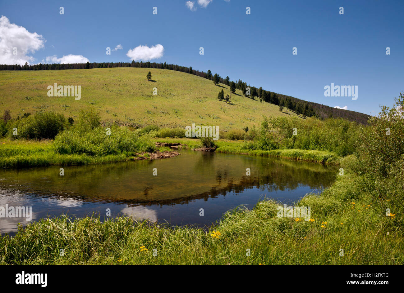 The Big Hole: Montana's Enduring Heartbeat in a World of Change