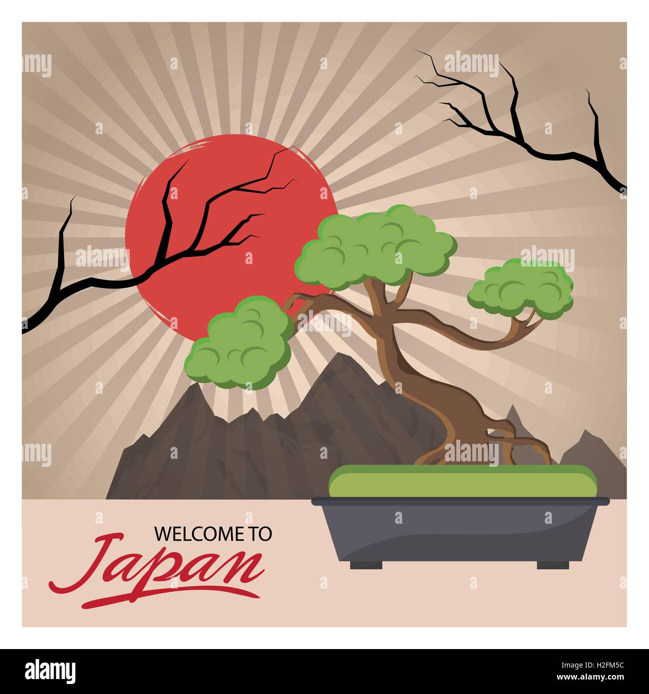 Sun and bonsai tree of Japan design Stock Vector Image & Art Alamy