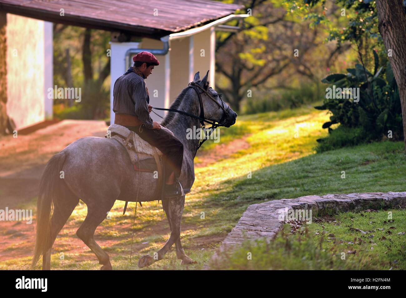Gaucho on horseback, Cordoba, Argentina Stock Photo