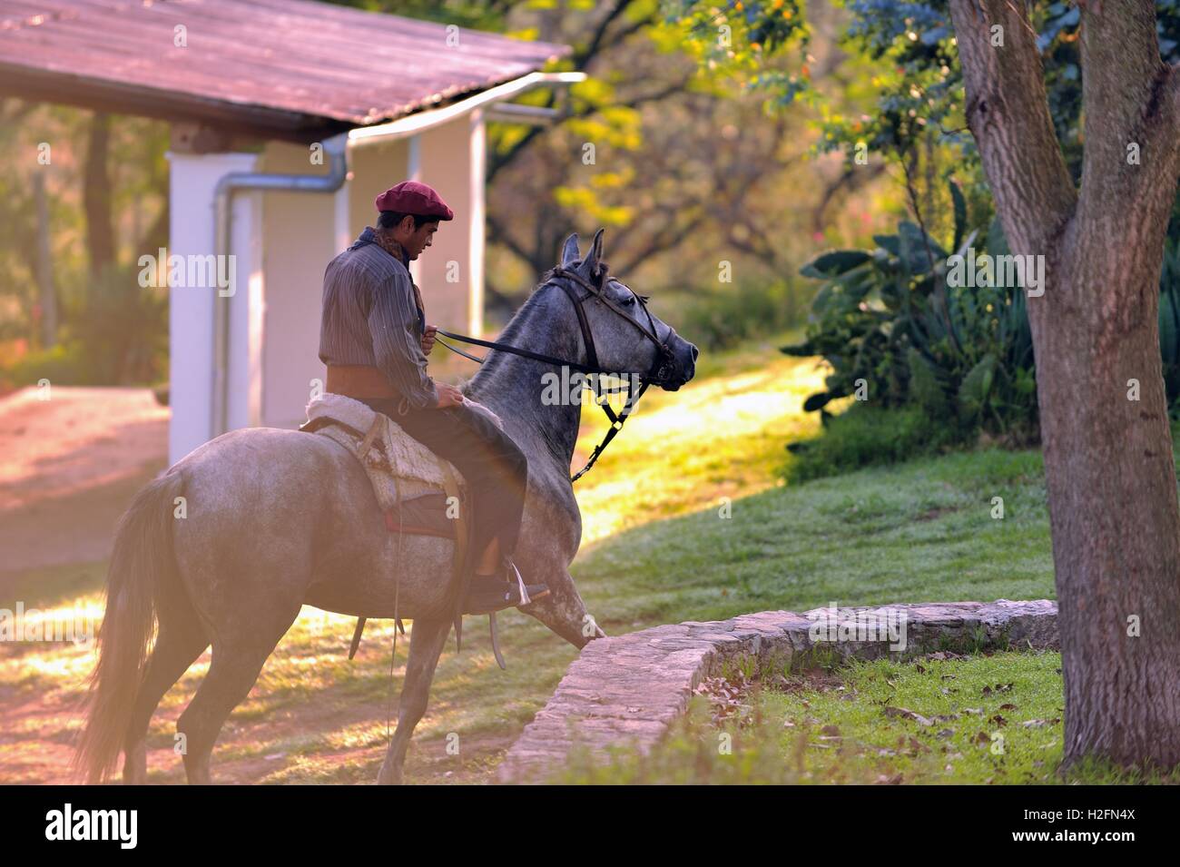 Gaucho on horseback, Cordoba, Argentina Stock Photo