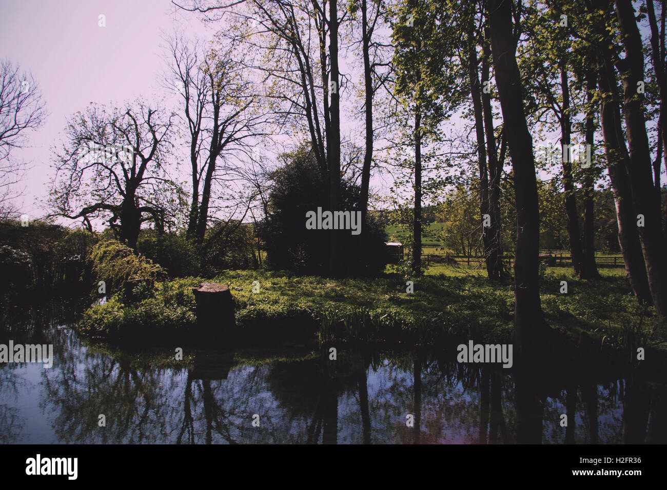 Village pond surrounded by trees in the Chilterns, England Vintage Retro Filter. Stock Photo