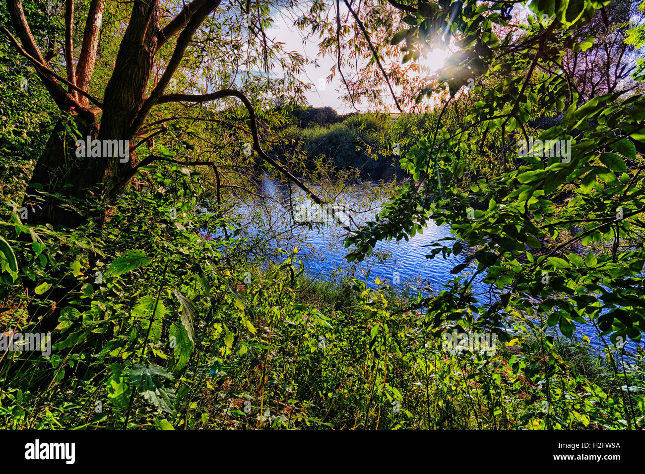 A placid River Wye placidly flowing in the late evening at Breinton near Hereford. Stock Photo
