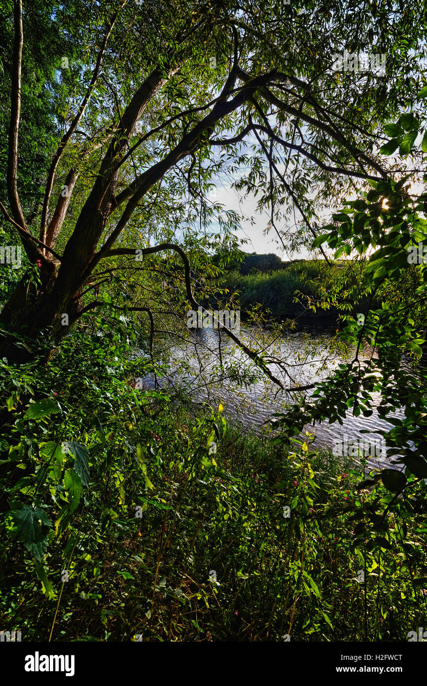 A placid River Wye placidly flowing in the late evening at Breinton near Hereford. Stock Photo