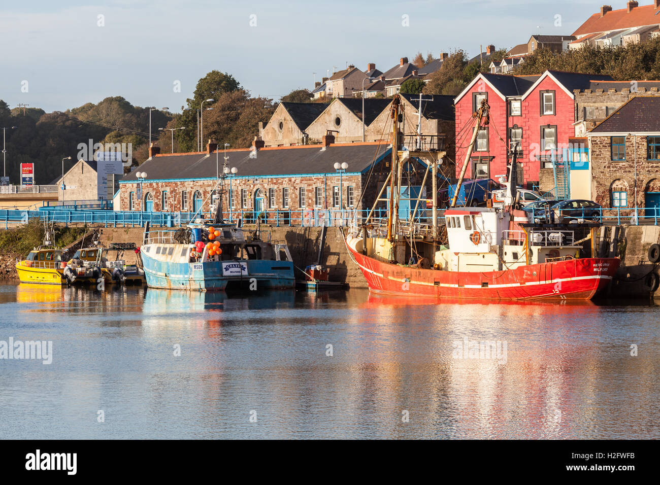 Fishing Boat at Milford Haven Marina, Pembrokeshire, Wales, UK Stock