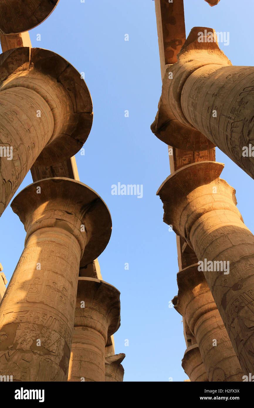 Giant Pillars in the most important Pharaonic site from Ancient Egypt