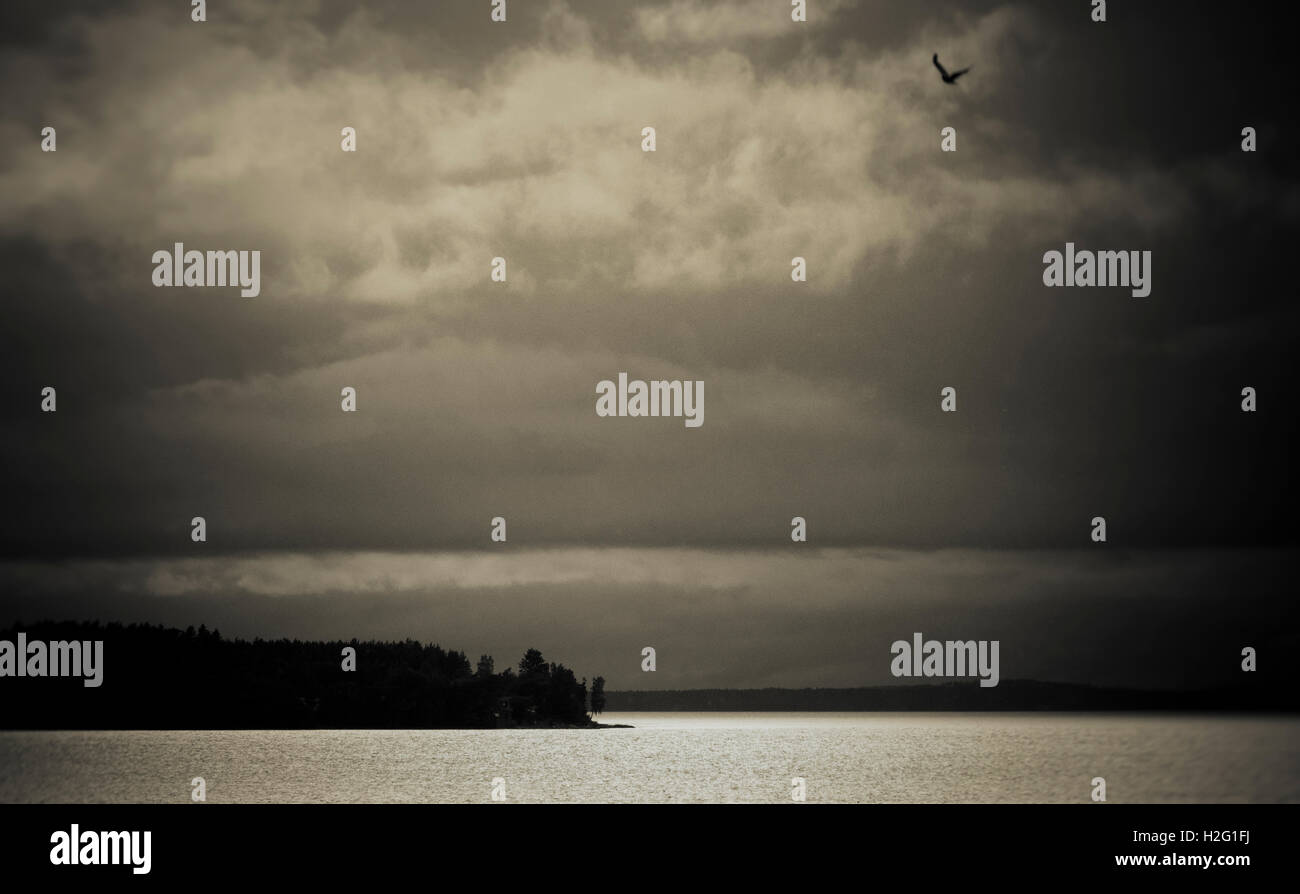 Dark landscape with lake and silhouette of bird flying. Moody and ominous nature scene, Sweden. Stock Photo