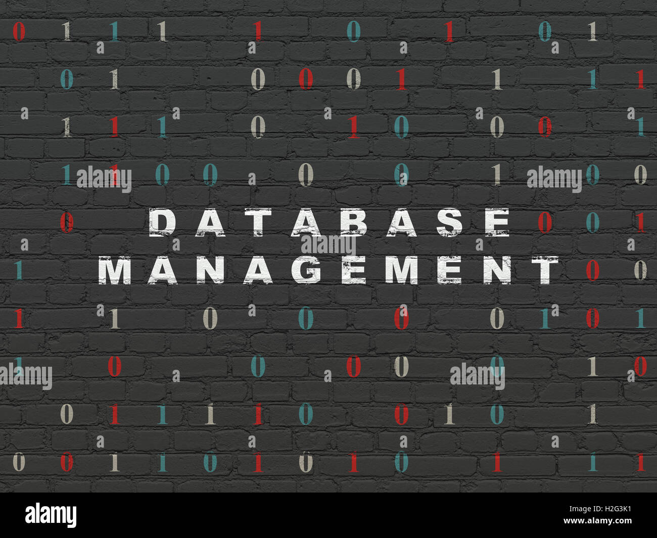 Programming concept: Database Management on wall background Stock Photo ...