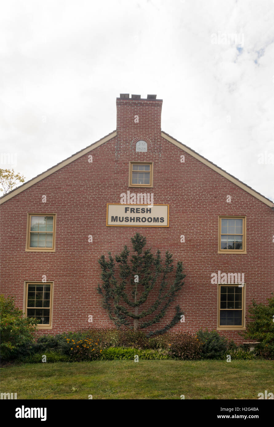 Phillips mushroom farm square hires stock photography and