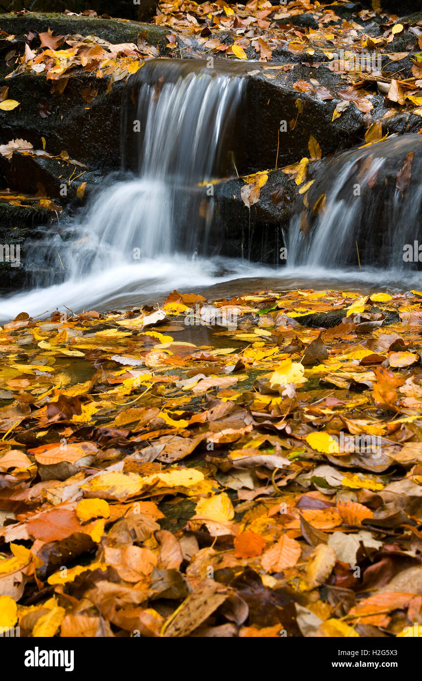 A small waterfall surrounded by bright fall colors. Stock Photo