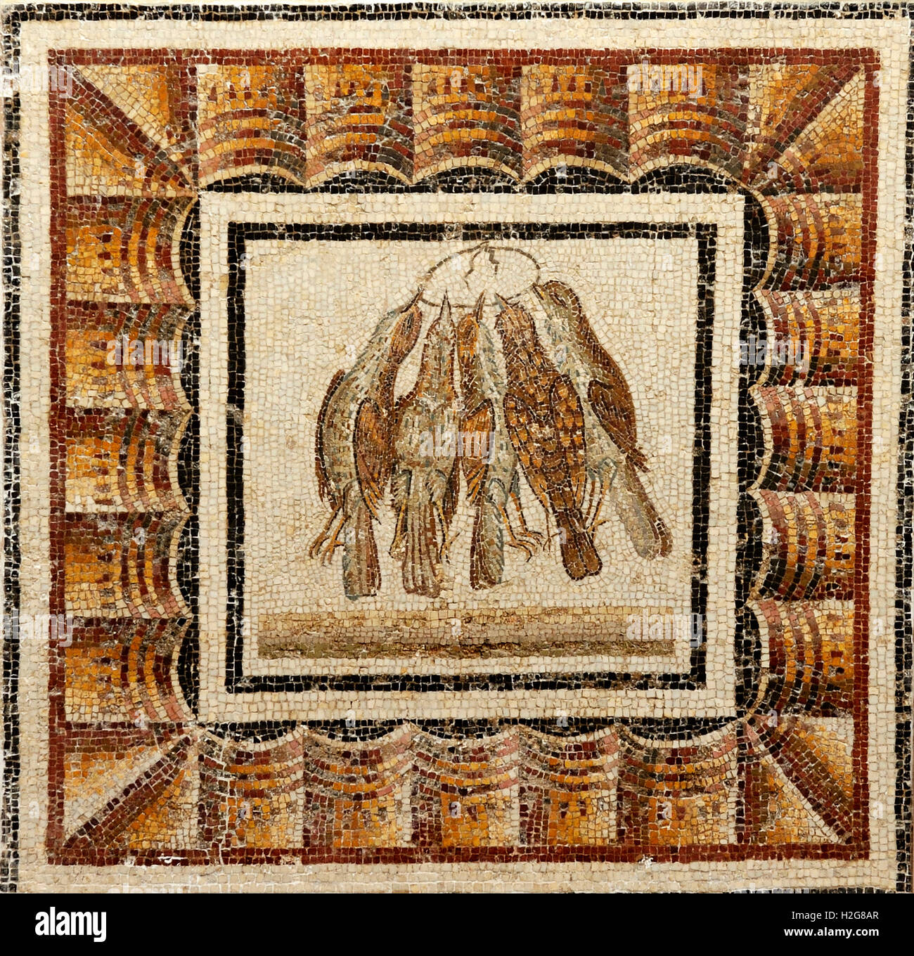 A wreath of trapped thrushes mosaic, late 2nd century AD, Roman from pavement of a triclinium (dining room) at Thysdrus, El-Jem, Stock Photo