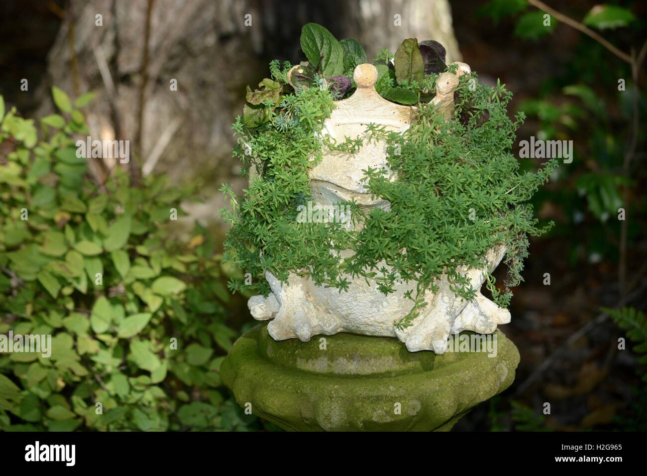 Funny yard art hires stock photography and images Alamy