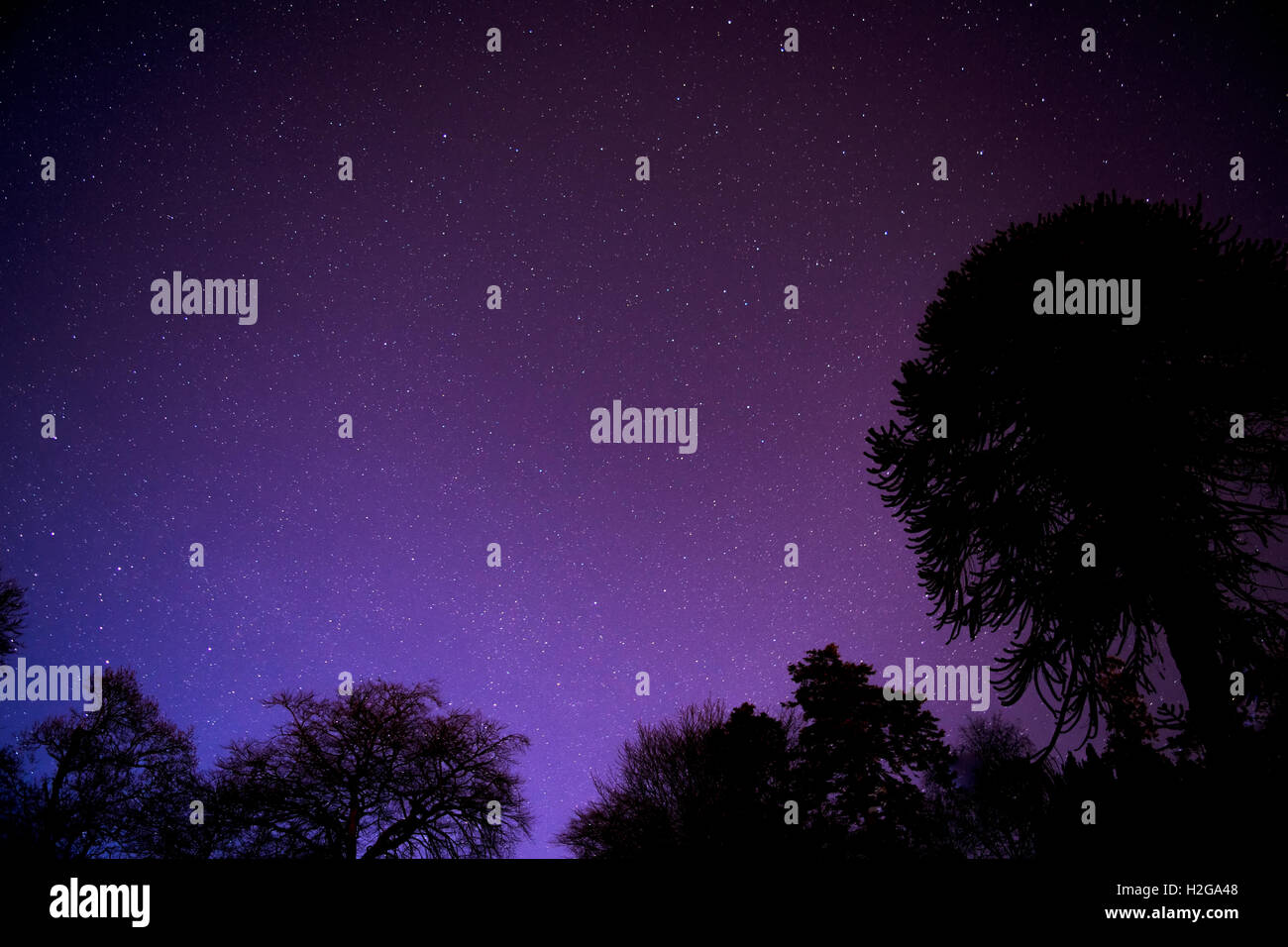 Night sky silhouette backlit hi-res stock photography and images - Alamy
