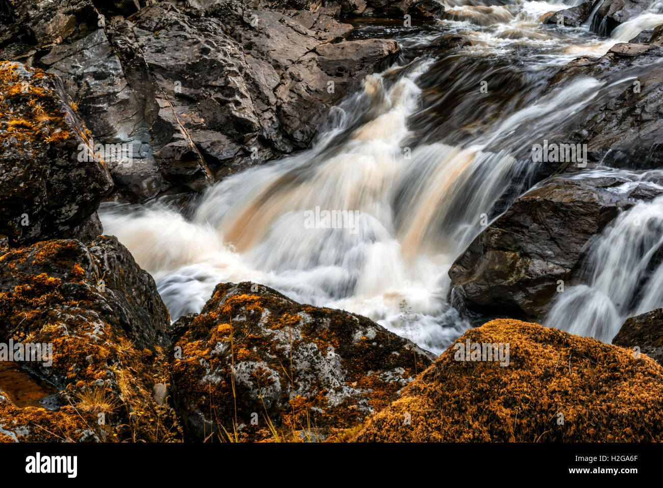 Balloch park hi-res stock photography and images - Alamy