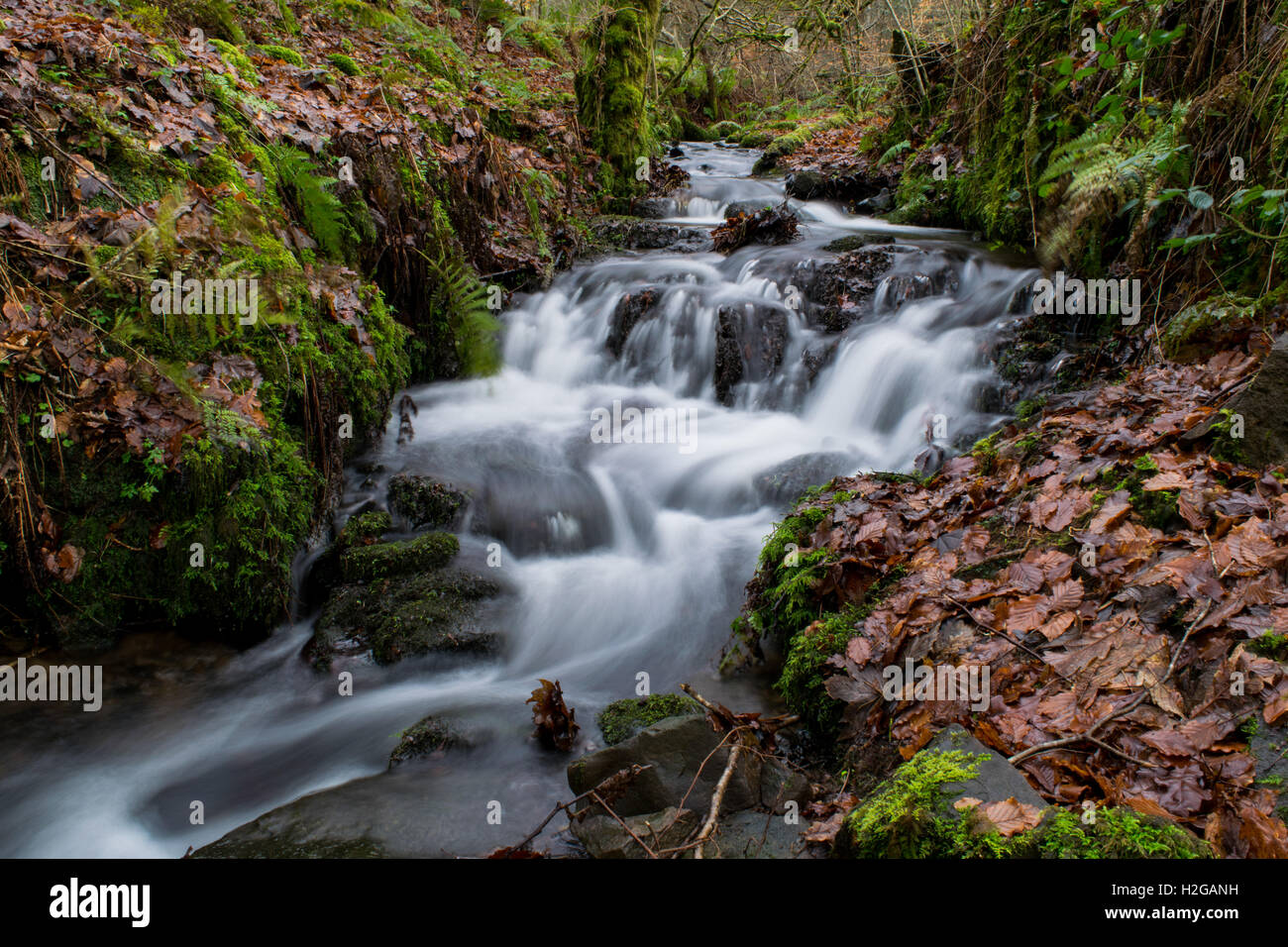 Balloch park hi-res stock photography and images - Alamy