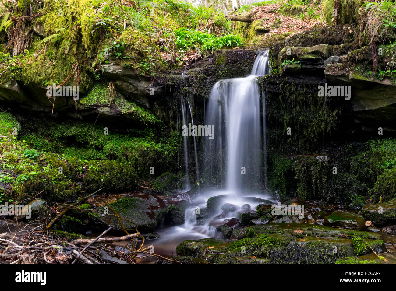 Balloch park hi-res stock photography and images - Alamy