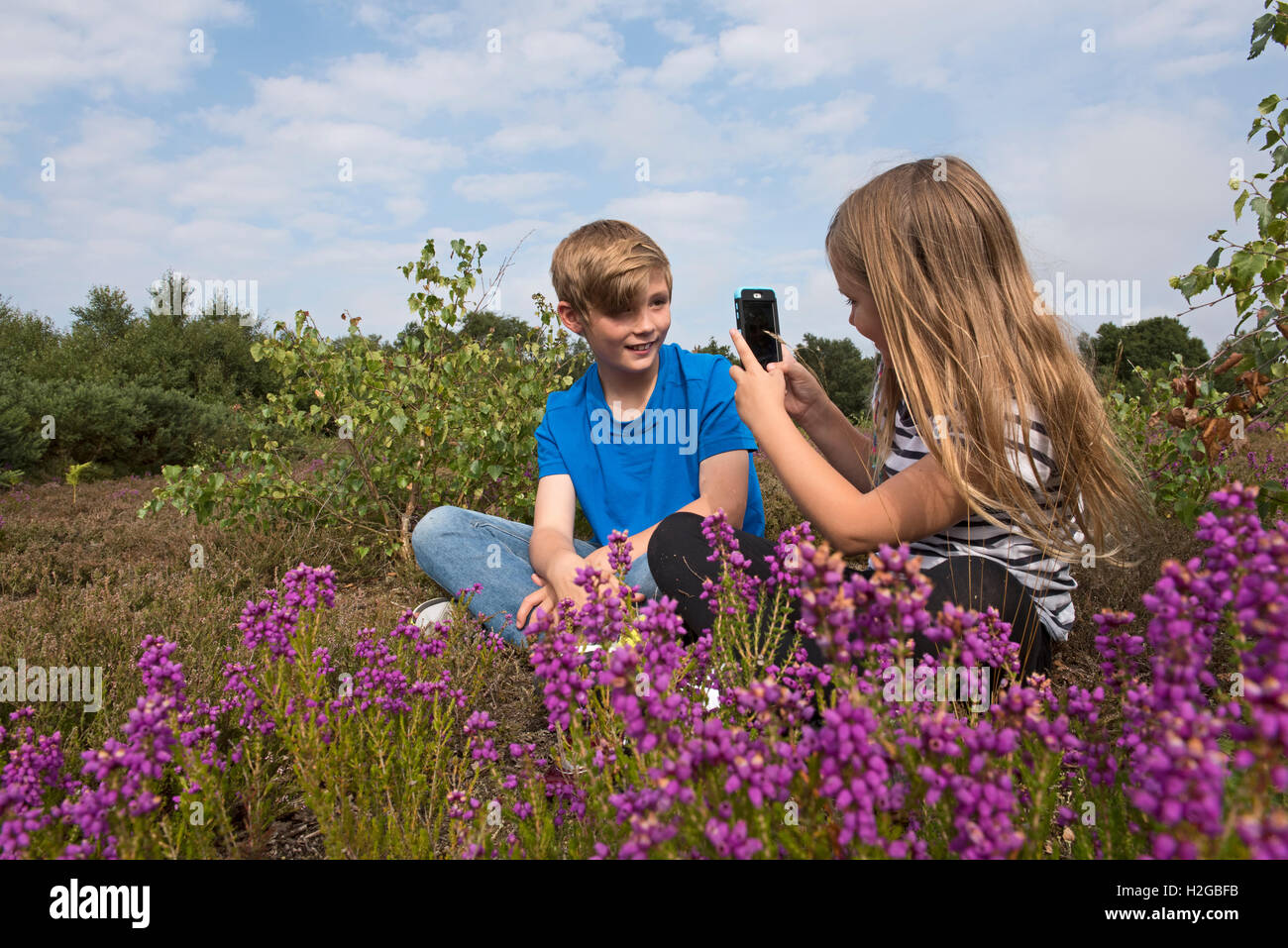 Young girl taking picture of her brother on smart phone  on heath Kelling Norfolk UK Stock Photo