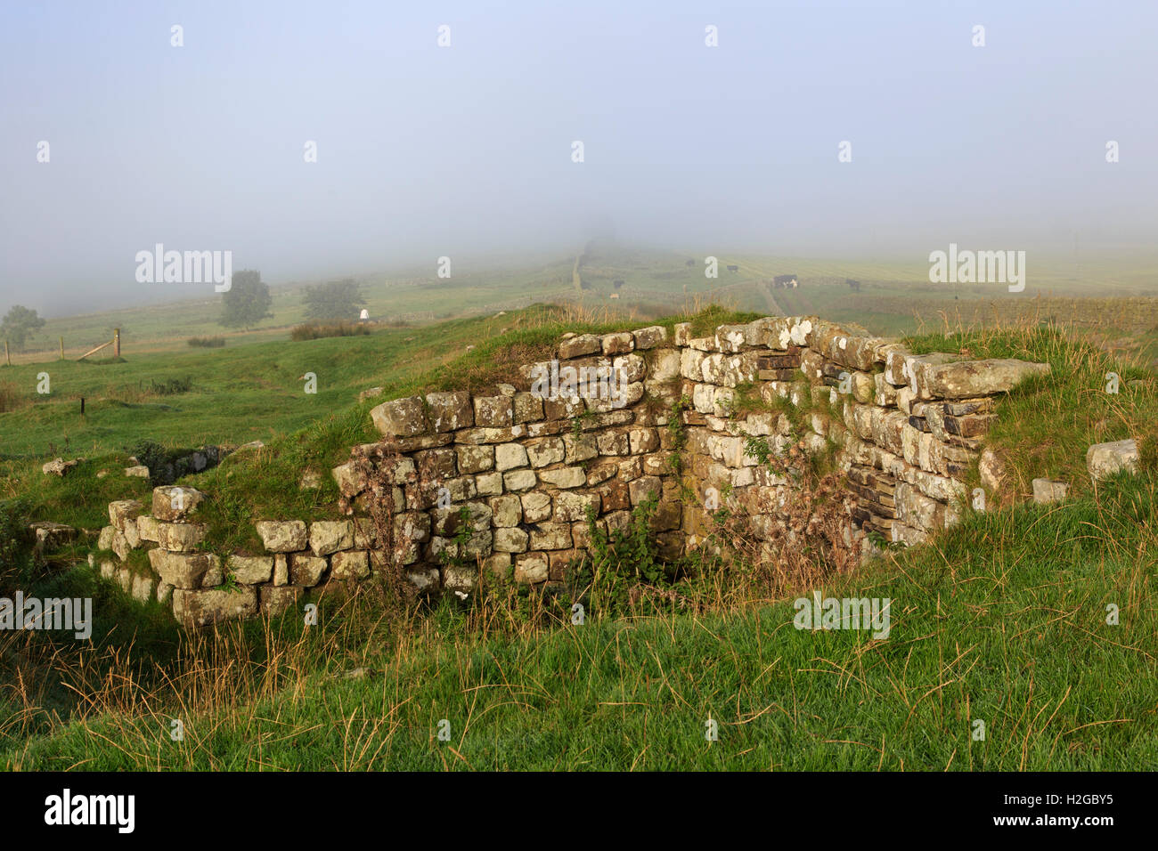 aesica-great-chesters-roman-fort-the-north-west-corner-on-a-misty