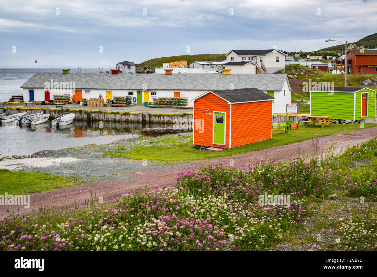 Colorful Fishing Stages In New Perlican Newfoundland And Labrador Stock Photo Alamy