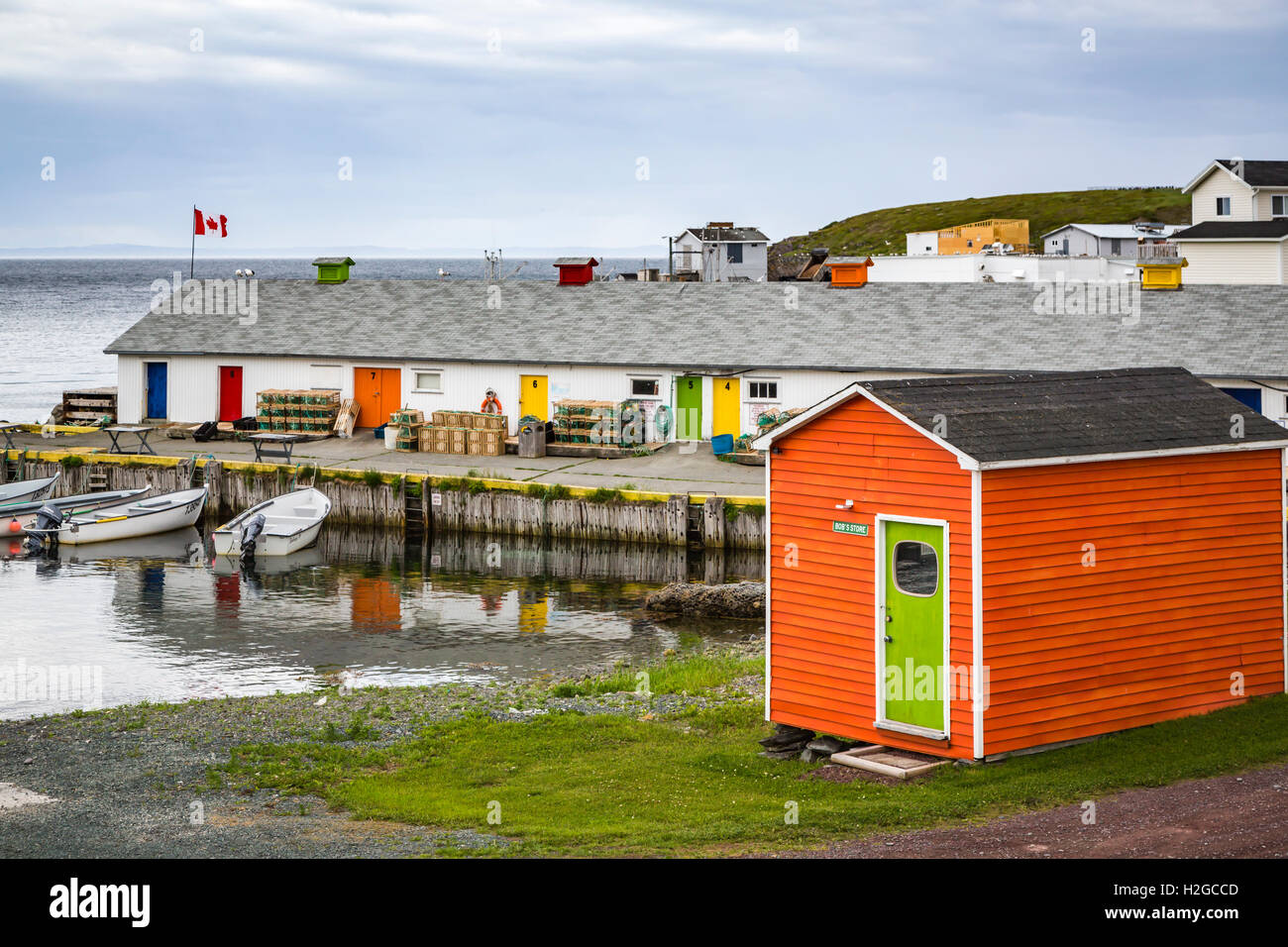 New Perlican High Resolution Stock Photography and Images Alamy