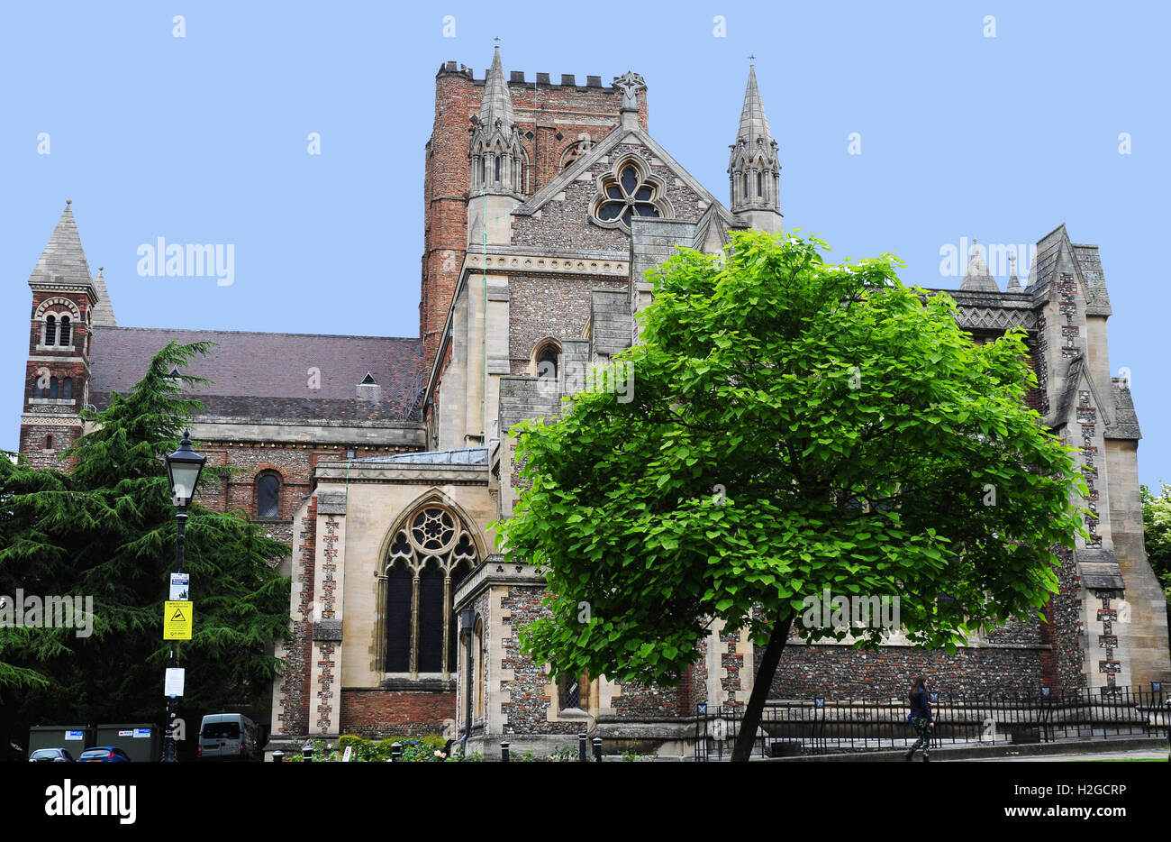 The Cathedral, St Albans,  and and Indian Bean Tree Stock Photo