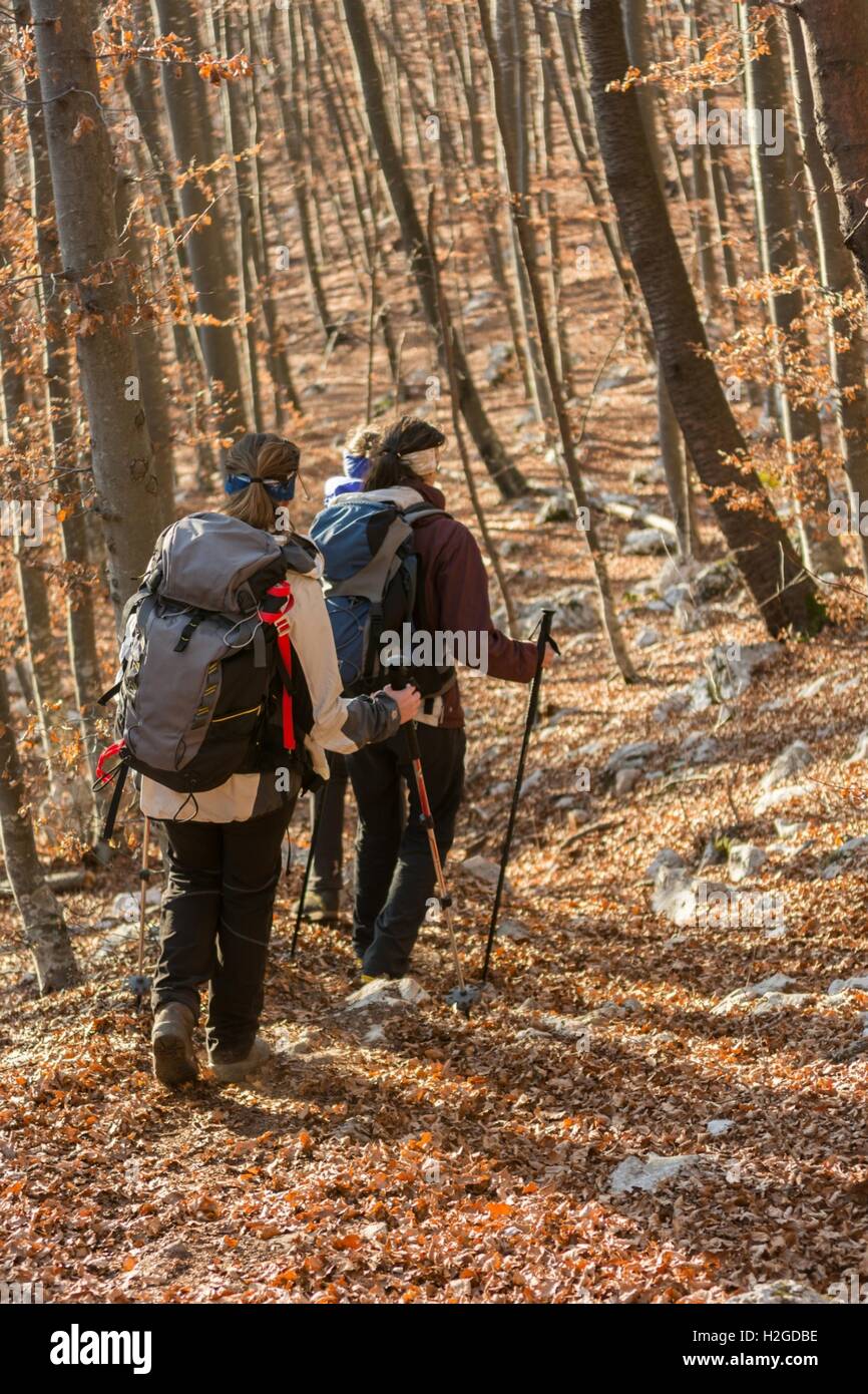 Young women walking in a forest Stock Photo - Alamy