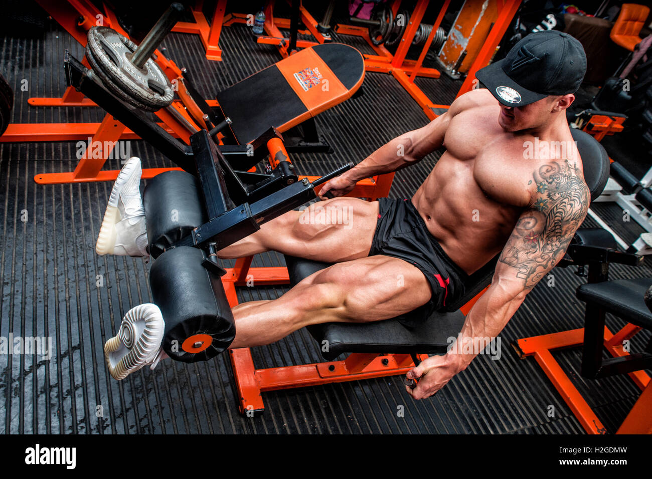 bodybuilder doing  leg curl in the gym Stock Photo