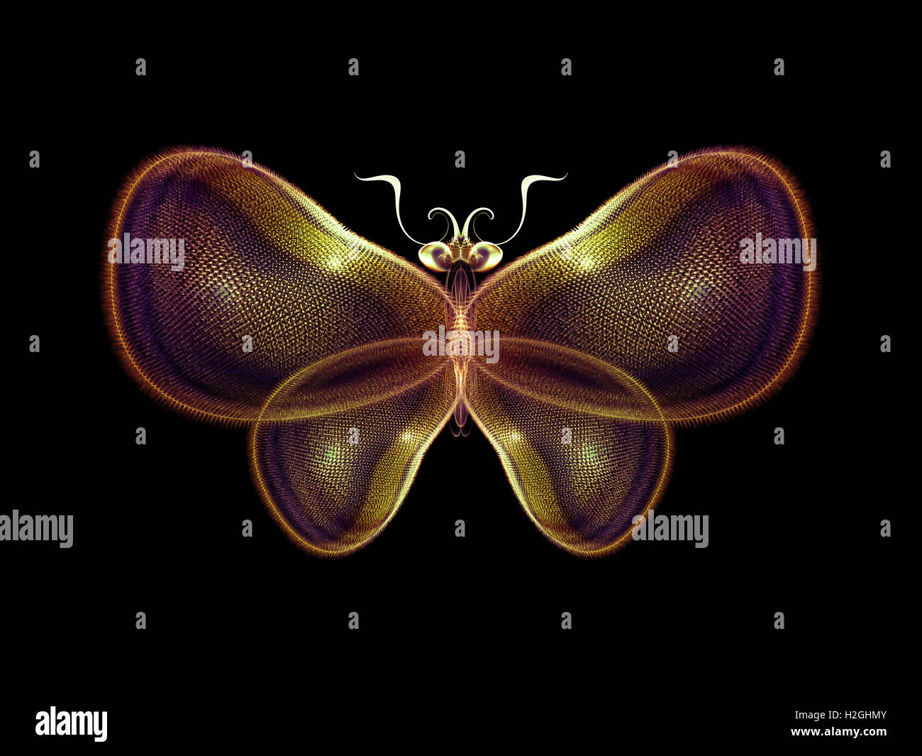 Magic of Butterfly Stock Photo - Alamy
