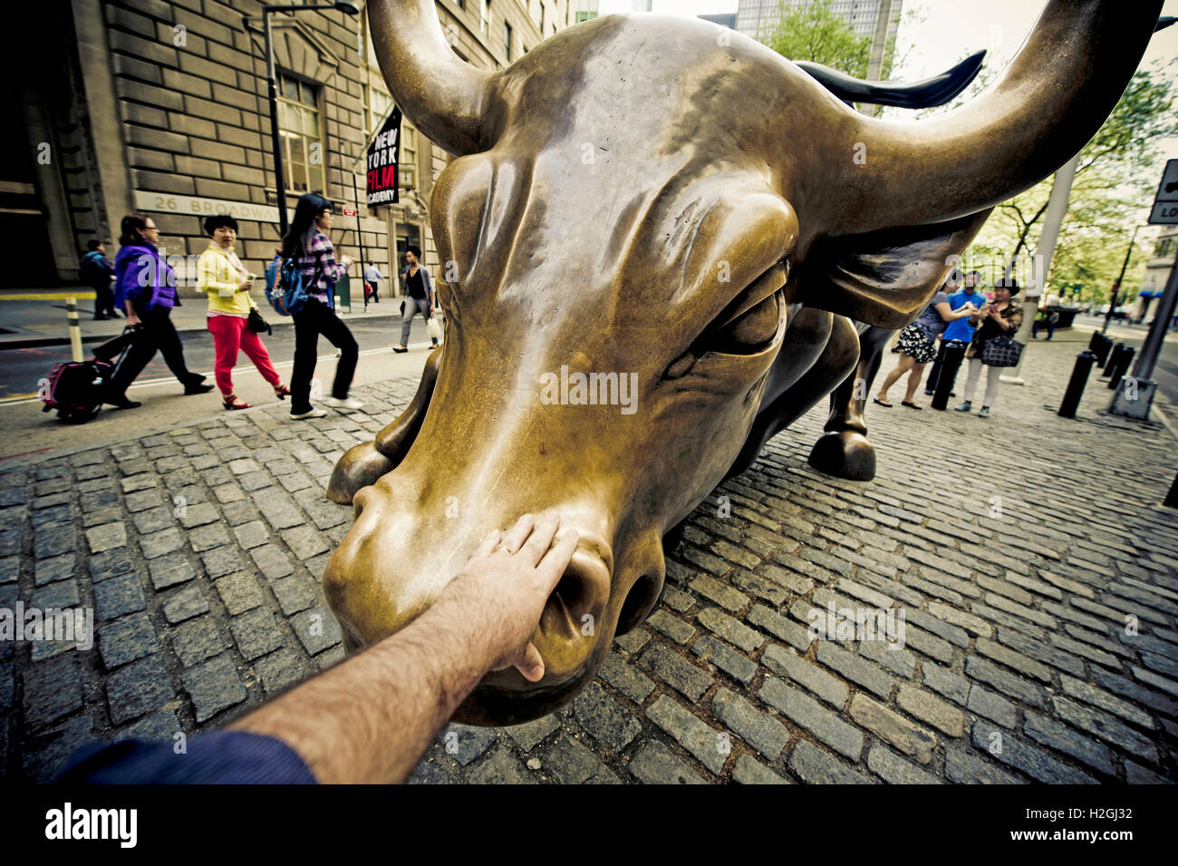 Touching the nose of the Charging Bull statue, aka Wall Street Bull