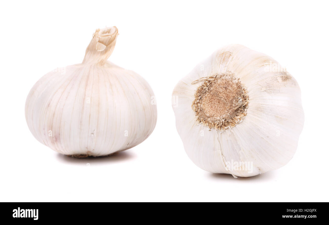 Head of garlic Stock Photo Alamy