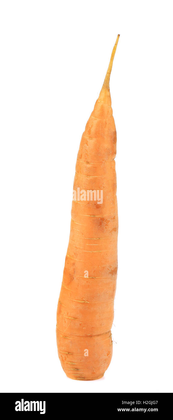 Carrots without leaves Stock Photo Alamy