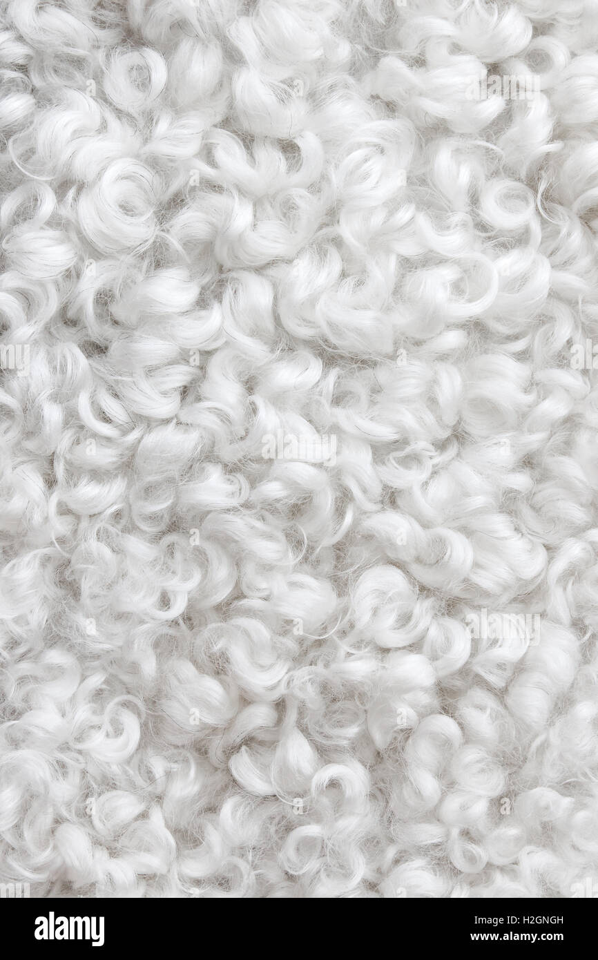 White sheepskin background Stock Photo - Alamy