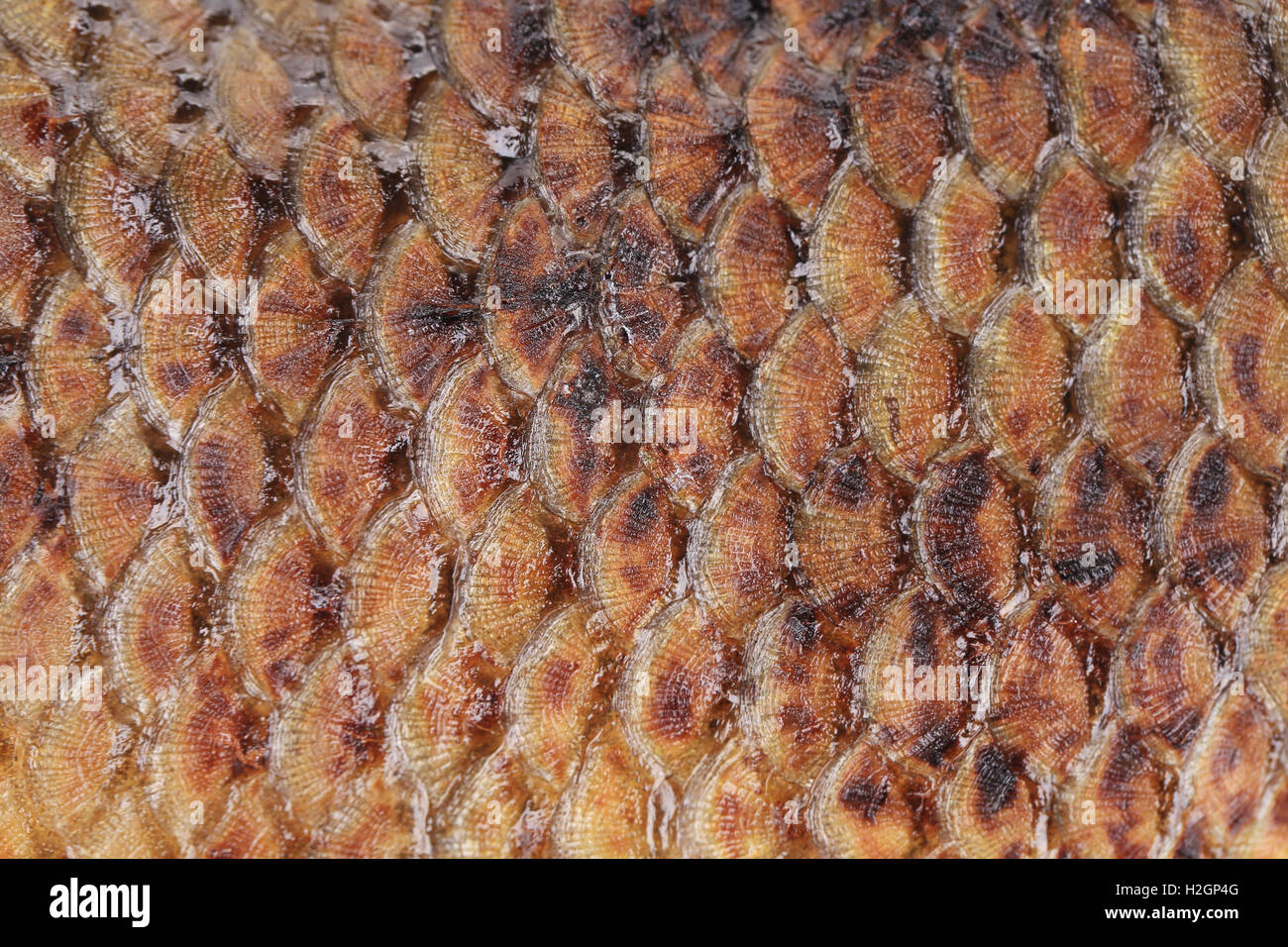 Fried fish scales Stock Photo Alamy