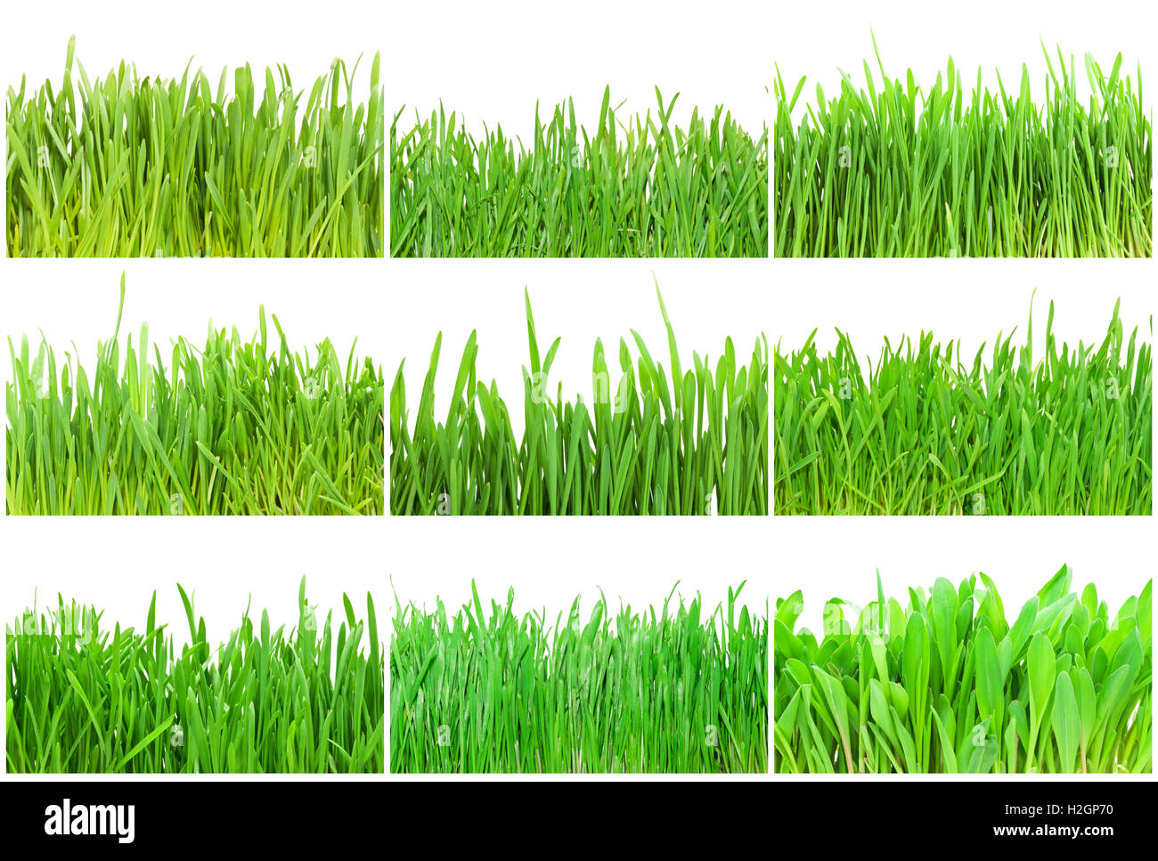 Green grass set hi-res stock photography and images - Alamy