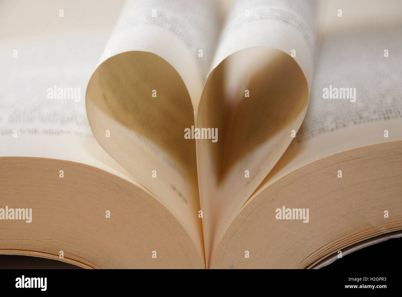 Book pages in the shape of a heart. I like to read, reading. Stock Photo