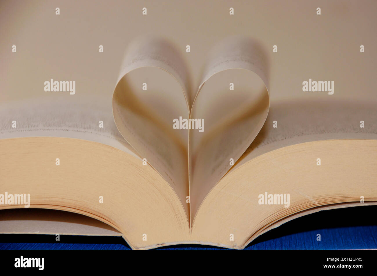 Book pages in the shape of a heart. I like to read, reading. Stock Photo