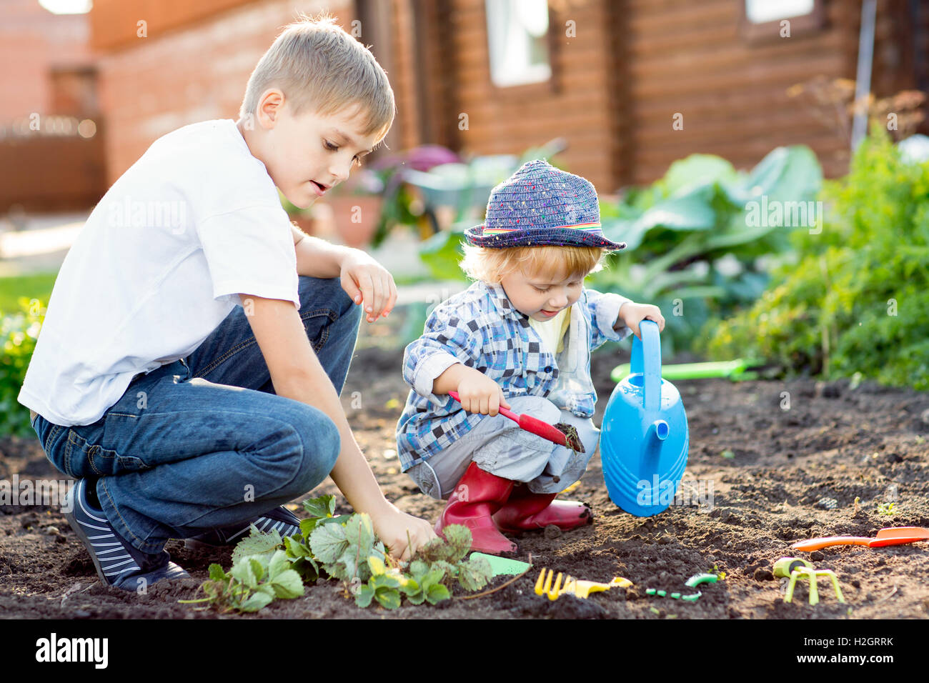 Children planting strawberry seedling in to fertile soil outside in garden Stock Photo