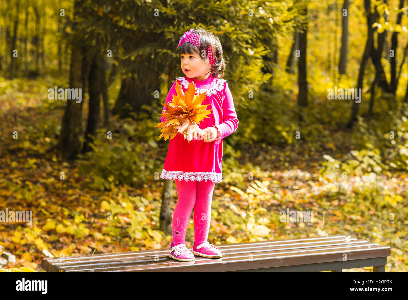 Little girl in the autumn park Stock Photo - Alamy