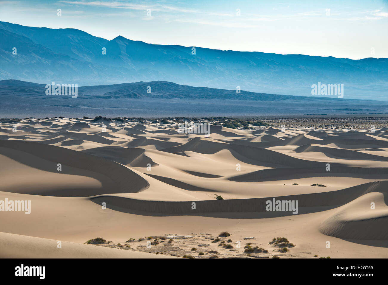 Mesquite Flat Sand Dunes Death Valley National Park California USA 