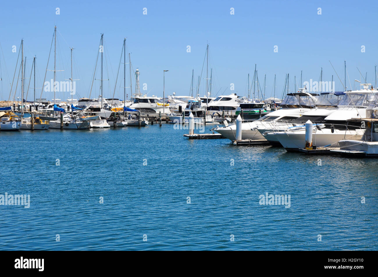 Yachts and boats in the luxury marina under a clear blue sky at Hilary ...
