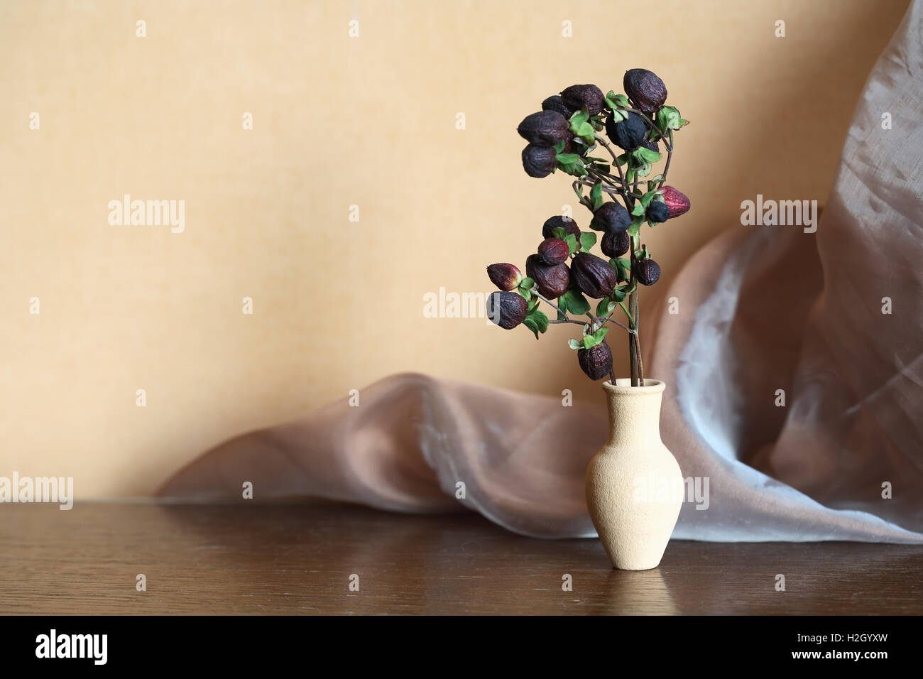 Nice dry plant with berries in elegance clay vase Stock Photo