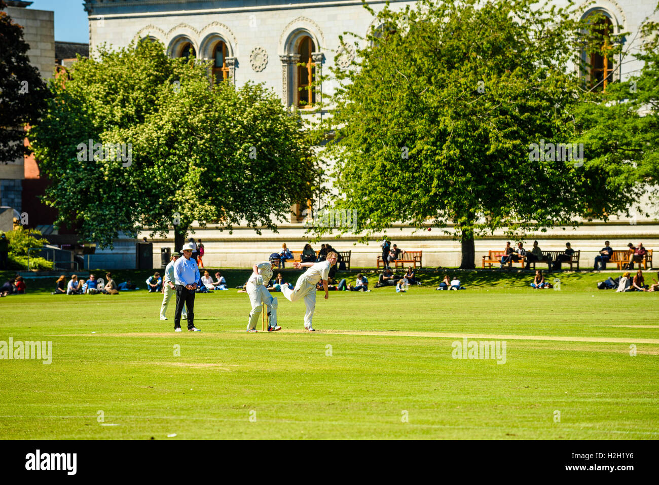 Cricket match on College Park, Trinity College, Dublin, Ireland Stock