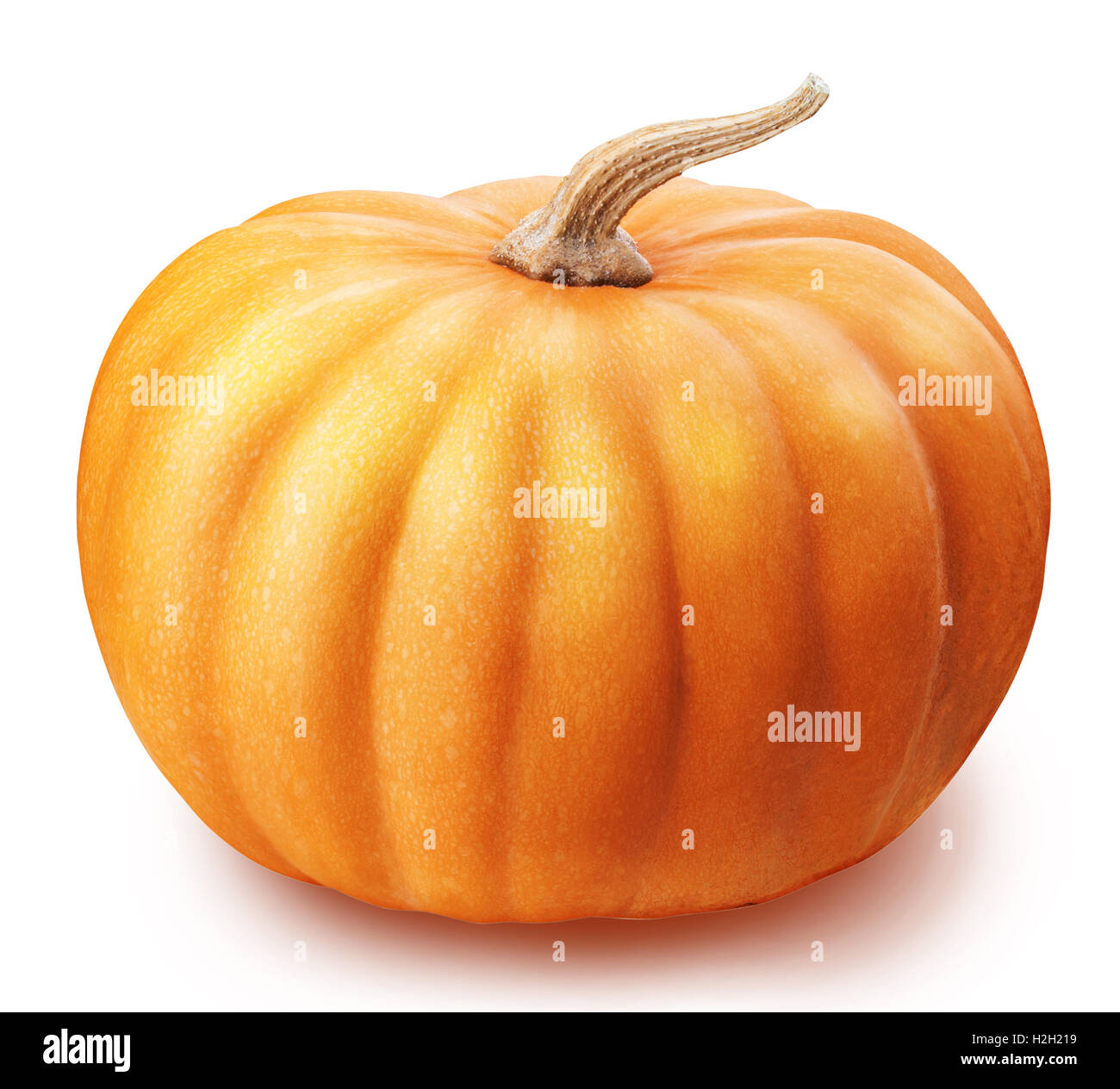 pumpkin isolated on white background clipping path Stock Photo - Alamy