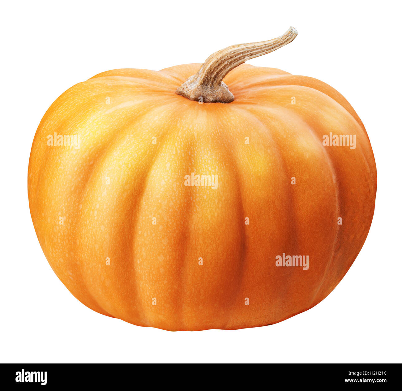 pumpkin isolated on white background clipping path Stock Photo - Alamy