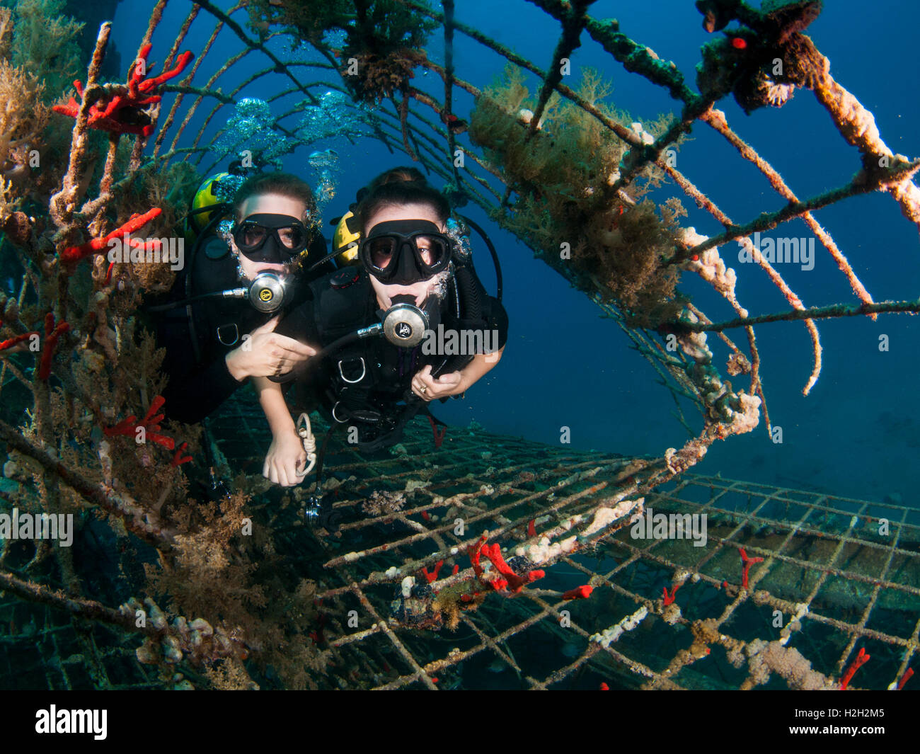 Israeli Navy divers checking  the Naval harbour for mines and enemy activity. Photographed in the military naval base in Eilat, Stock Photo